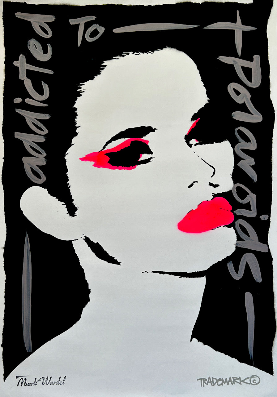 N11 Addicted to Polaroids