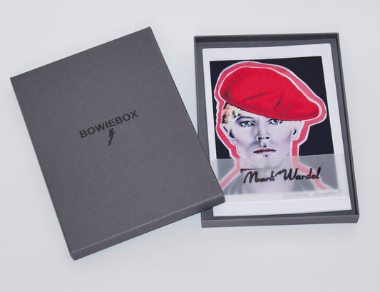 'Bowie' Box Set No.4