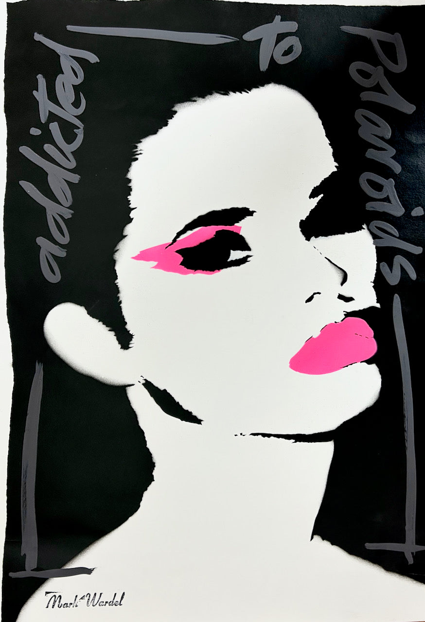 N21 Addicted to Polaroids