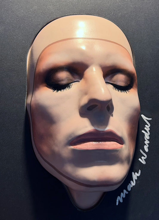 BOWIE 'PIN-UPS' (plastic vacuum formed)