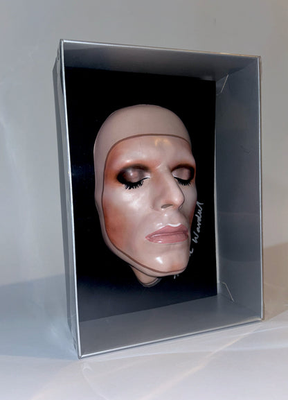 BOWIE 'PIN-UPS' (plastic vacuum formed)