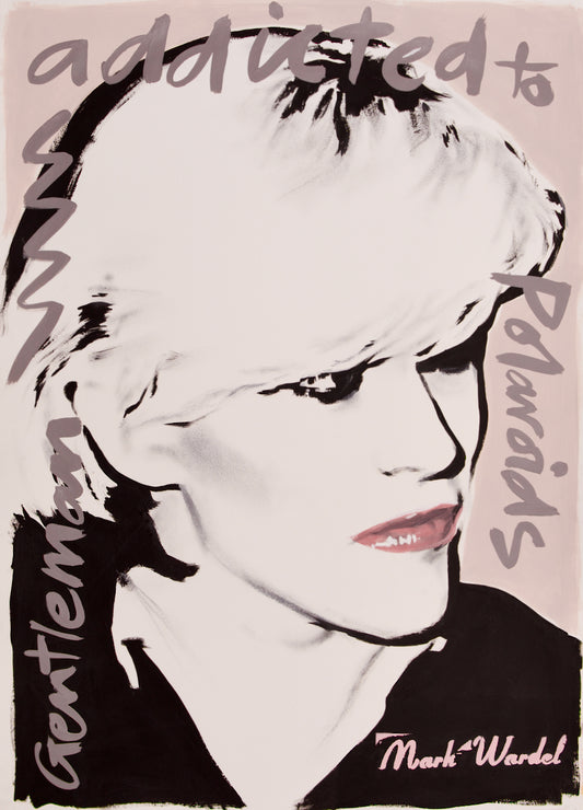 8. 'Sylvian/addicted to Polaroids'