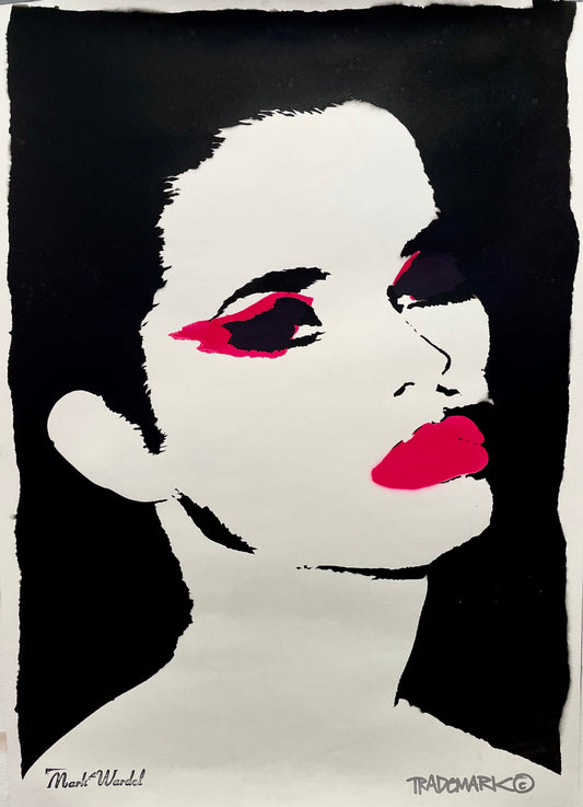 Addicted to Polaroids Stencil on Paper