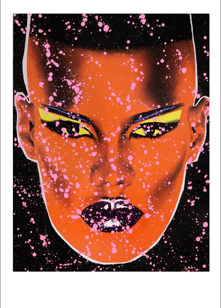 'Grace Jones' (Snowstorm)