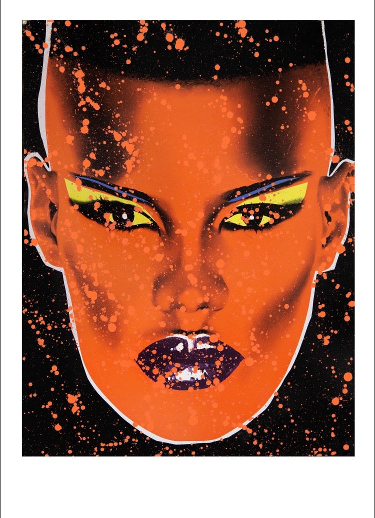 'Grace Jones' (Snowstorm)